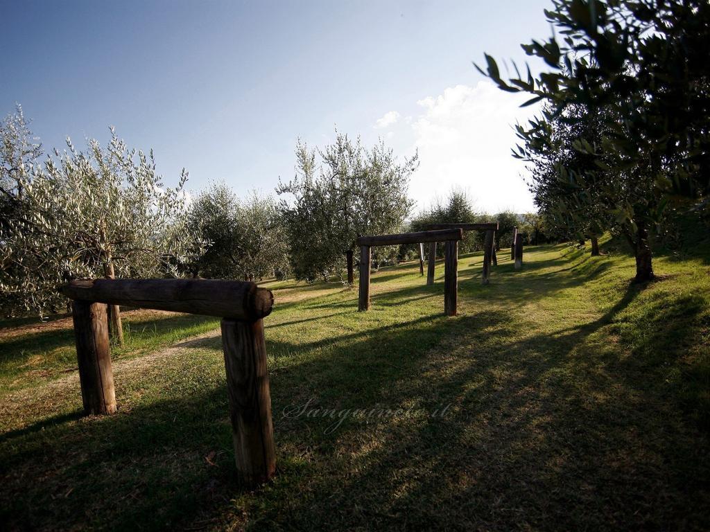 Agriturismo Sanguineto Acquaviva  Екстериор снимка
