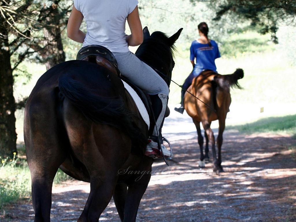 Agriturismo Sanguineto Acquaviva  Екстериор снимка