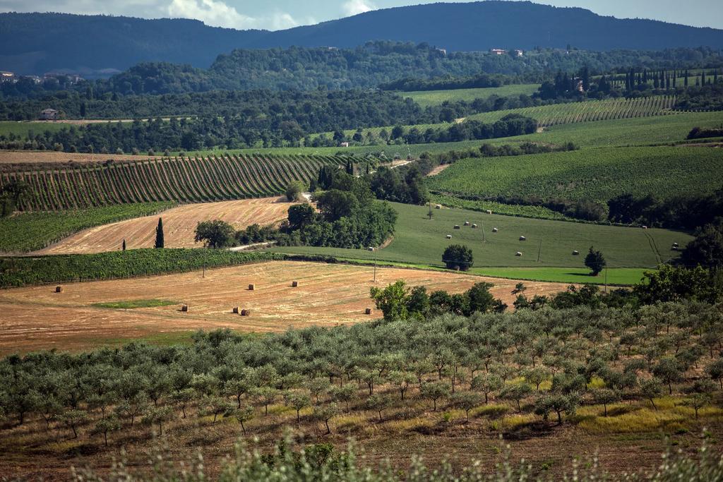 Agriturismo Sanguineto Acquaviva  Екстериор снимка