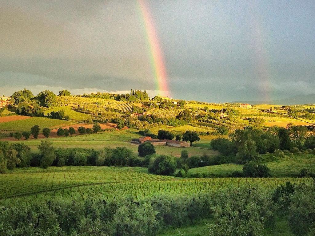 Agriturismo Sanguineto Acquaviva  Екстериор снимка