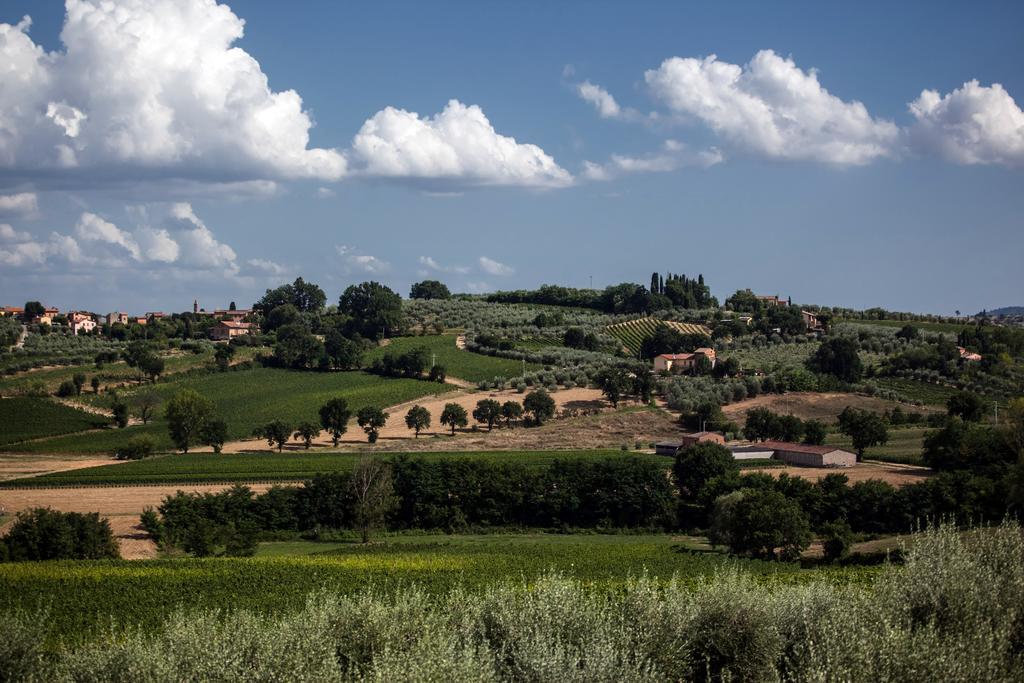 Agriturismo Sanguineto Acquaviva  Екстериор снимка